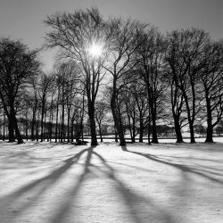 Trees in Winter, King Sterndale; 220106 Dave Butcher